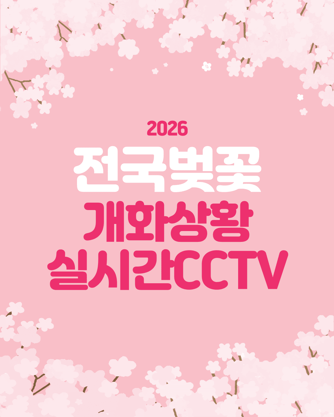 2026 전국 벚꽃 CCTV